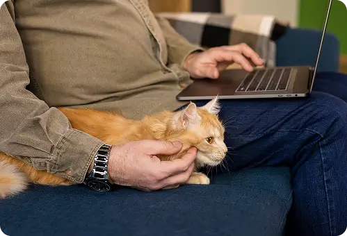 Register Your Pet