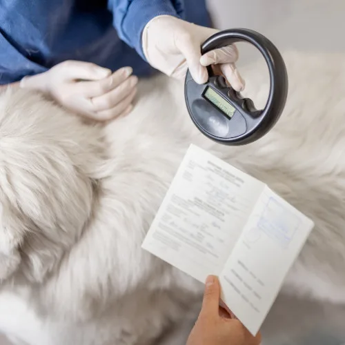 Microchip
