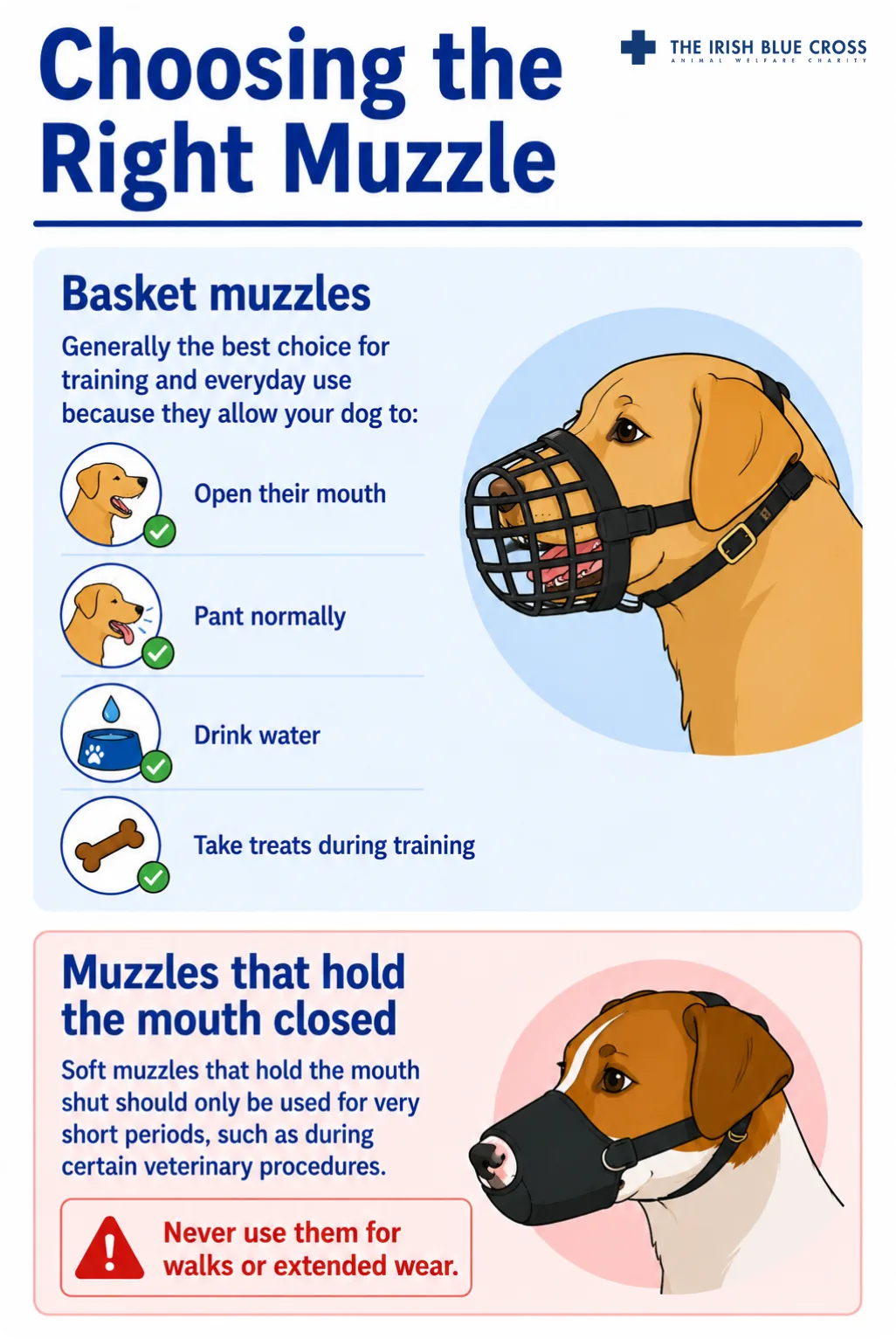 Choosing the Right Muzzle Selecting the correct type of muzzle is essential for your dog’s comfort and safety. Basket Muzzles Basket-style muzzles are generally the best choice for training and everyday use as they allow your dog to: Open their mouth Pant normally Drink water Take treats during training These features are important because panting helps dogs regulate their body temperature. Muzzles That Hold the Mouth Closed Soft muzzles that hold the mouth shut should only be used for very short periods, such as during certain veterinary procedures. Because they restrict panting, they should never be used for walks or extended wear.