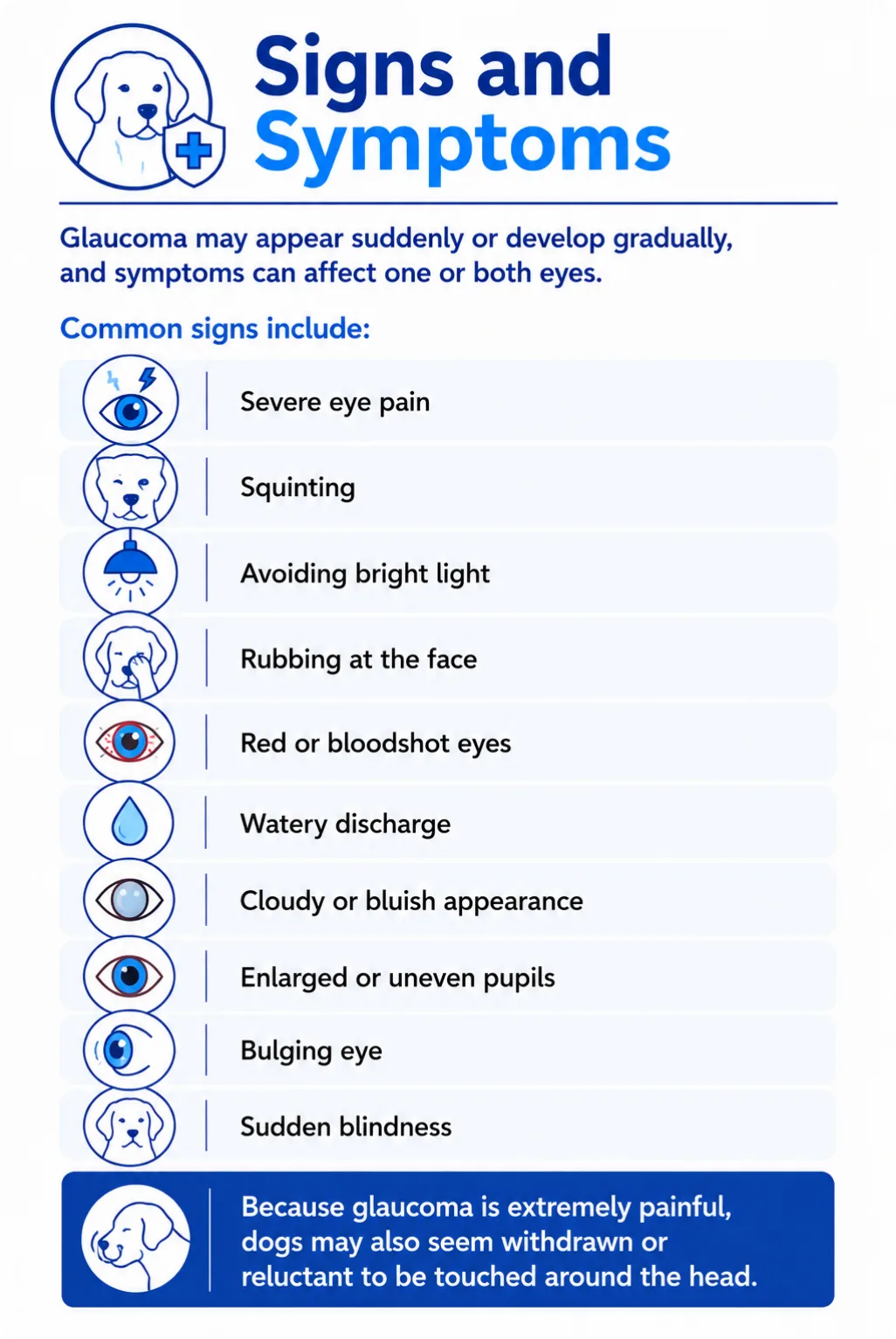 Signs and Symptoms

Glaucoma may appear suddenly or develop gradually, and symptoms can affect one or both eyes.

Common signs include:

Severe eye pain
Squinting
Avoiding bright light
Rubbing at the face
Red or bloodshot eyes
Watery discharge
Cloudy or bluish appearance
Enlarged or uneven pupils
Bulging eye
Sudden blindness

Because glaucoma is extremely painful, dogs may also seem withdrawn or reluctant to be touched around the head.