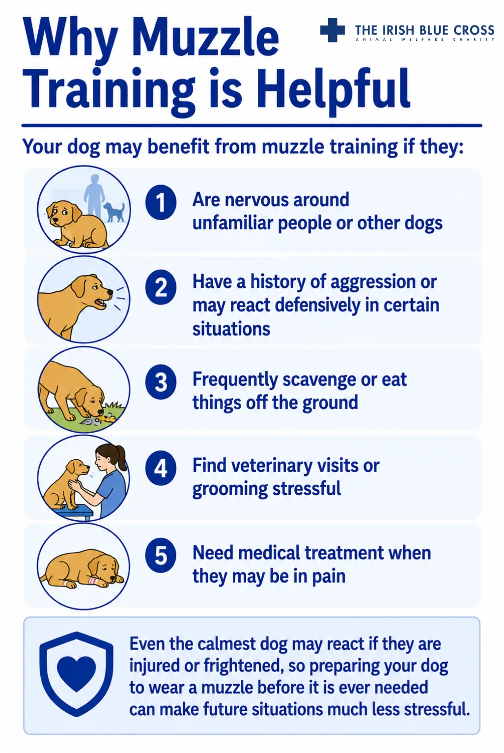 Why Muzzle Training is Helpful Many people assume muzzles are only for aggressive dogs, but they can be helpful in a wide range of situations. Training your dog to accept a muzzle can be useful if your dog: Is nervous around unfamiliar people or other dogs Has a history of aggression or may react defensively in certain situations Frequently scavenges or eats things off the ground during walks Finds veterinary visits or grooming stressful Needs medical treatment when they may be in pain Even the calmest dog may react if they are injured or frightened, so preparing your dog to wear a muzzle before it is ever needed can make future situations much less stressful.