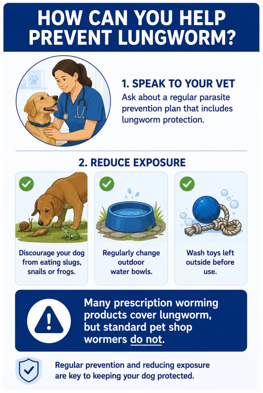 Preventing Lungworm Preventing lungworm is far easier and safer than treating it. Speak to your vet about a regular parasite prevention plan that includes lungworm protection. Many prescription worming products cover lungworm, but standard pet shop wormers do not. You can also reduce risk by: discouraging your dog from eating slugs, snails or frogs regularly changing outdoor water bowls washing toys left outside before use