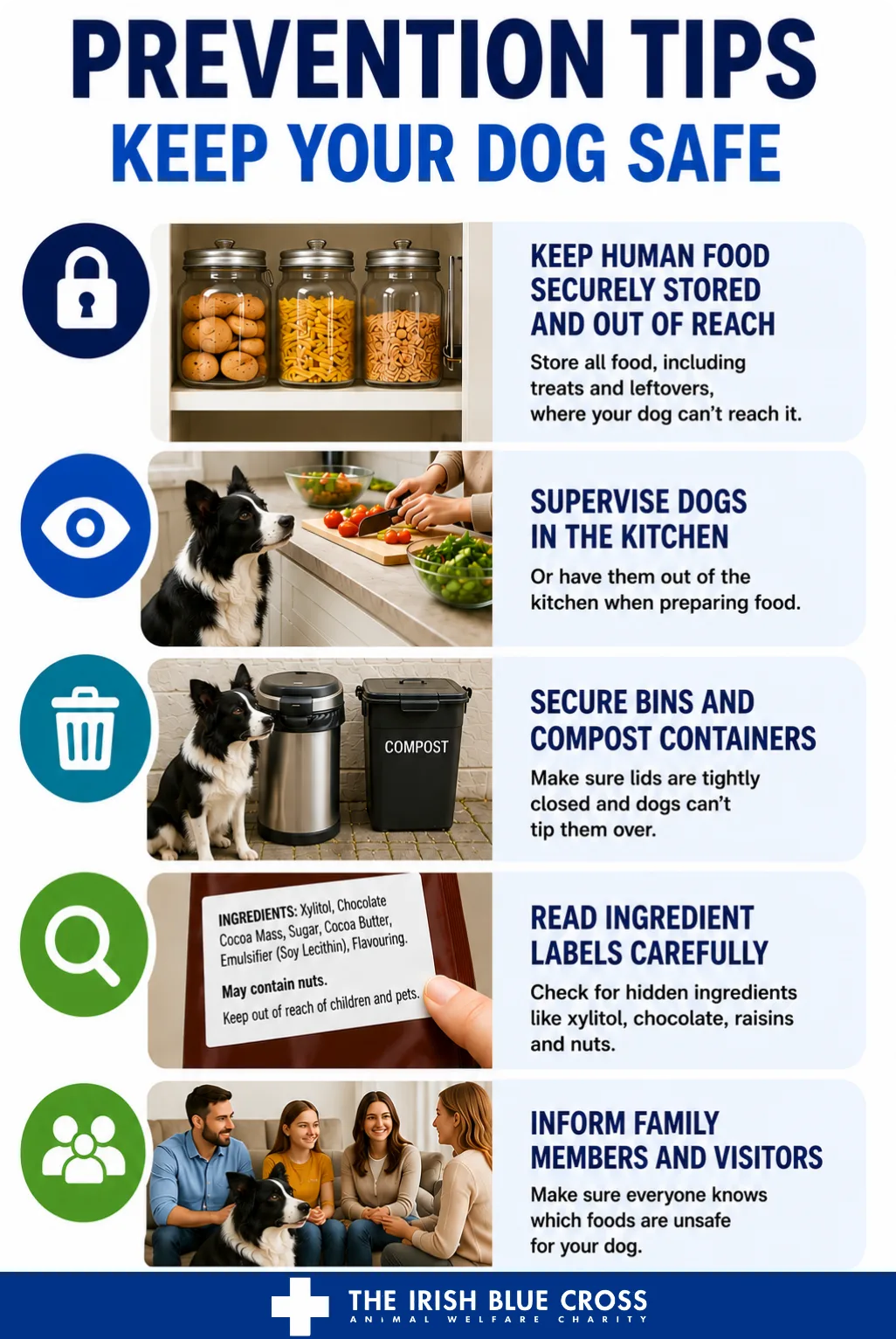 Prevention Tips
Keep human food securely stored and out of reach
Supervise dogs in the kitchen or have them out of the kitchen when preparing food
Secure bins and compost containers
Read ingredient labels carefully
Inform family members and visitors about unsafe foods