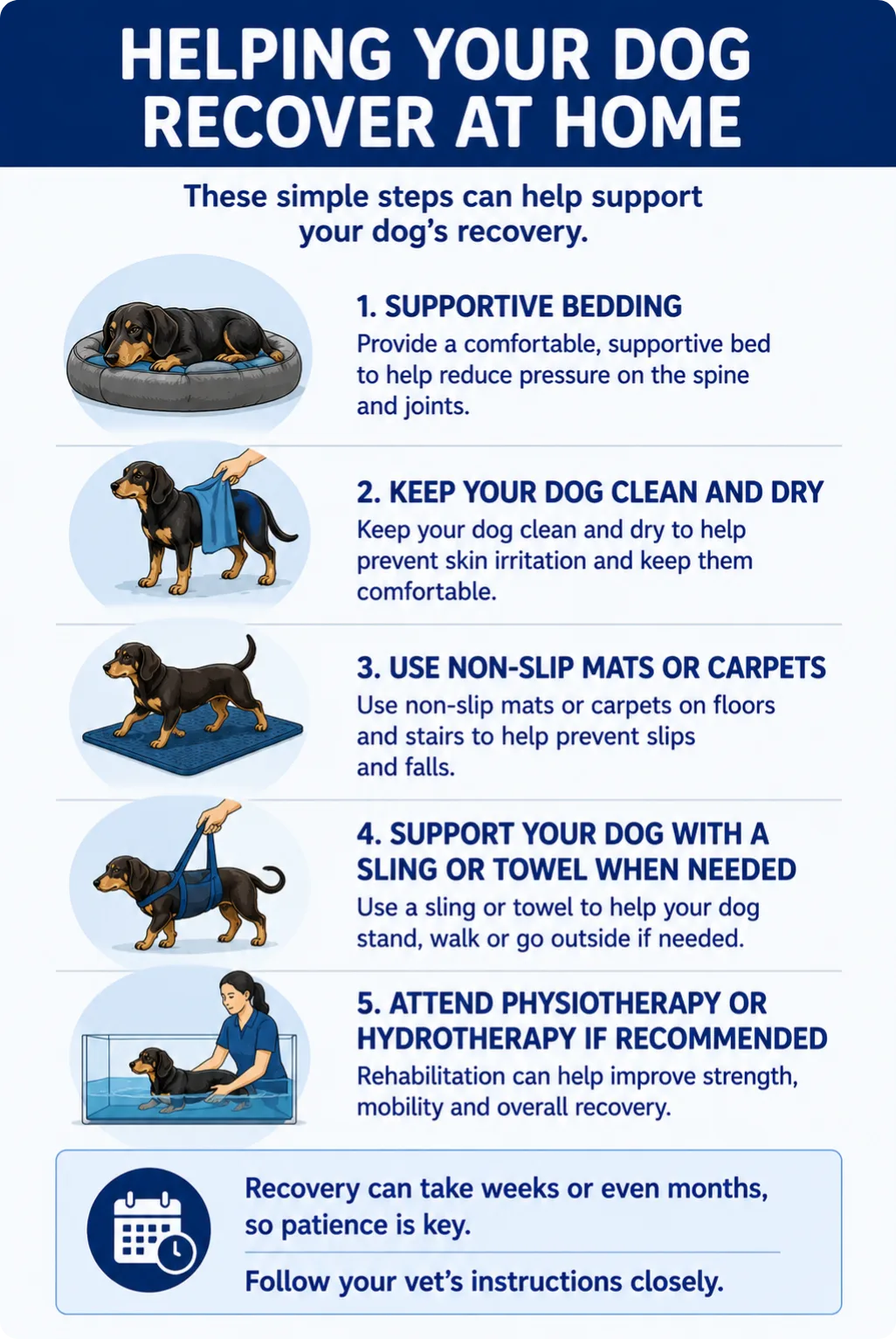 Recovery and Care at Home Recovery can take weeks or even months, and patience is key. During this time, you’ll need to follow your vet’s instructions closely. Helpful steps at home include: providing supportive bedding keeping your dog clean and dry, especially if they are incontinent preventing slips by using non-slip mats or carpets supporting your dog with a sling or towel when needed attending physiotherapy or hydrotherapy if recommended Maintaining a healthy weight is also important, as excess weight puts added strain on the spine. Your vet can advise you on your dog’s diet if needed. As your dog improves, exercise will be reintroduced slowly and carefully under veterinary guidance.