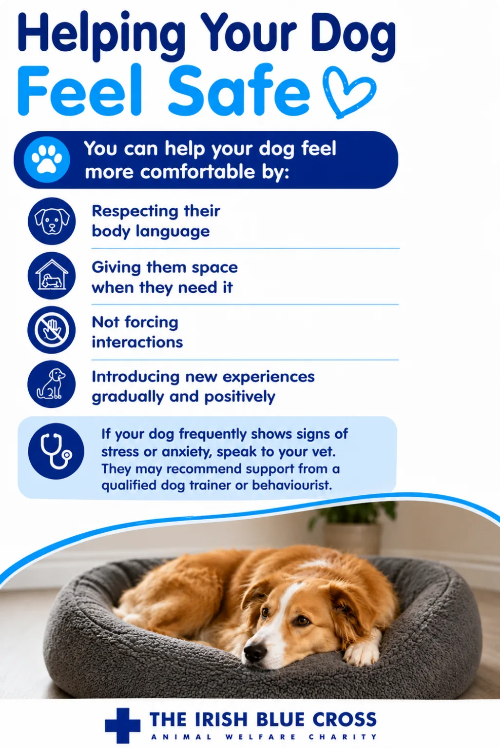 Helping Your Dog Feel Safe You can help your dog feel more comfortable by: Respecting their body language Giving them space when they need it Not forcing interactions Introducing new experiences gradually and positively If your dog frequently shows signs of stress or anxiety, speak to your vet. They may recommend support from a qualified dog trainer or behaviourist.