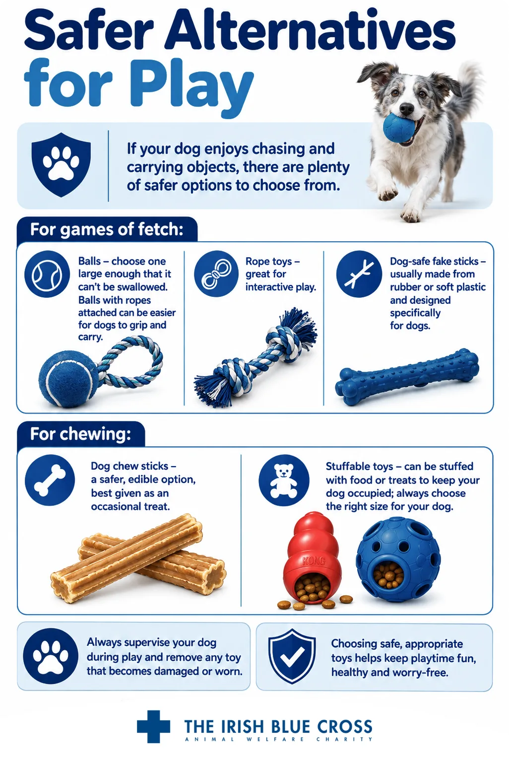 Infographic titled “Safer Alternatives for Play” explaining safer options for dogs that enjoy chasing, carrying and chewing objects. It recommends large balls that cannot be swallowed, rope toys for interactive play, dog-safe rubber or soft plastic sticks, edible dog chew sticks as occasional treats, and appropriately sized stuffable toys. It also advises supervising dogs during play, removing damaged or worn toys, and choosing safe, appropriate toys to keep playtime healthy and worry-free.