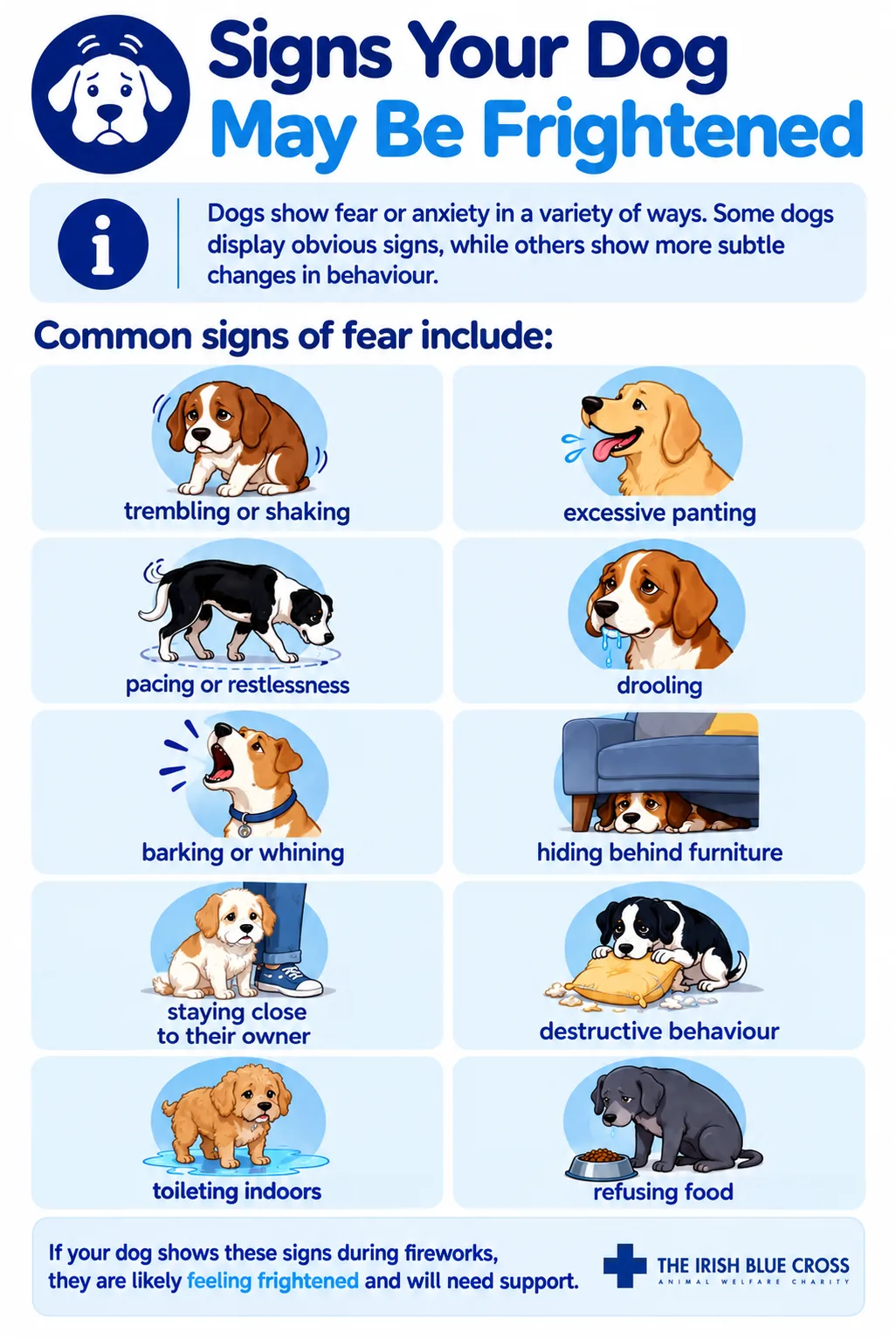 Signs Your Dog May Be Frightened Dogs show fear or anxiety in a variety of ways. Some dogs display obvious signs, while others show more subtle changes in behaviour. Common signs of fear include: trembling or shaking excessive panting pacing or restlessness drooling barking or whining hiding behind furniture staying close to their owner destructive behaviour toileting indoors refusing food If your dog shows these signs during fireworks, they are likely feeling frightened and will need support.