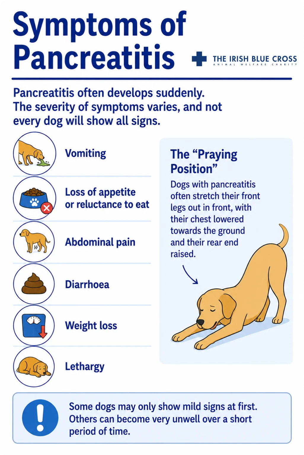Symptoms of Pancreatitis Pancreatitis often develops suddenly. The severity of symptoms varies, and not every dog will show all signs. Common symptoms include: Vomiting Loss of appetite or reluctance to eat Abdominal pain. Dogs may stretch forward with their front legs lowered and their hindquarters raised (praying position) Diarrhoea Weight loss Lethargy Some dogs may only show mild signs at first. Others can become very unwell over a short period of time.