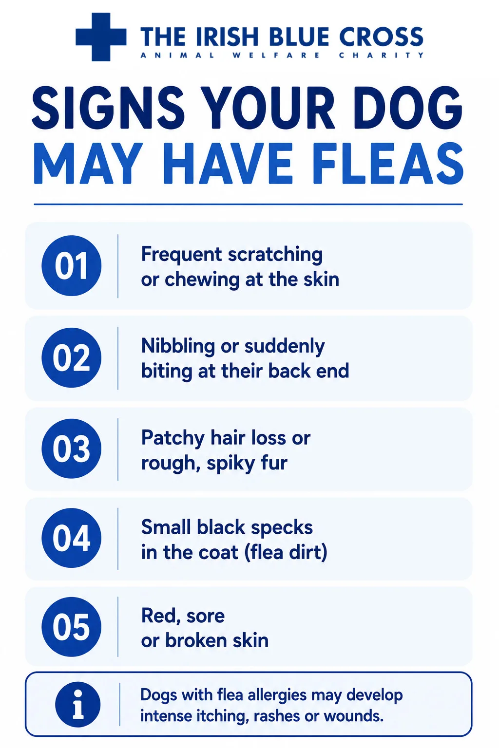 Common signs include:

Frequent scratching or chewing at the skin
Nibbling or turning suddenly to bite at their back end
Patchy hair loss or rough, spiky fur
Small black specks in the coat (known as flea dirt)
Red, sore or broken skin
