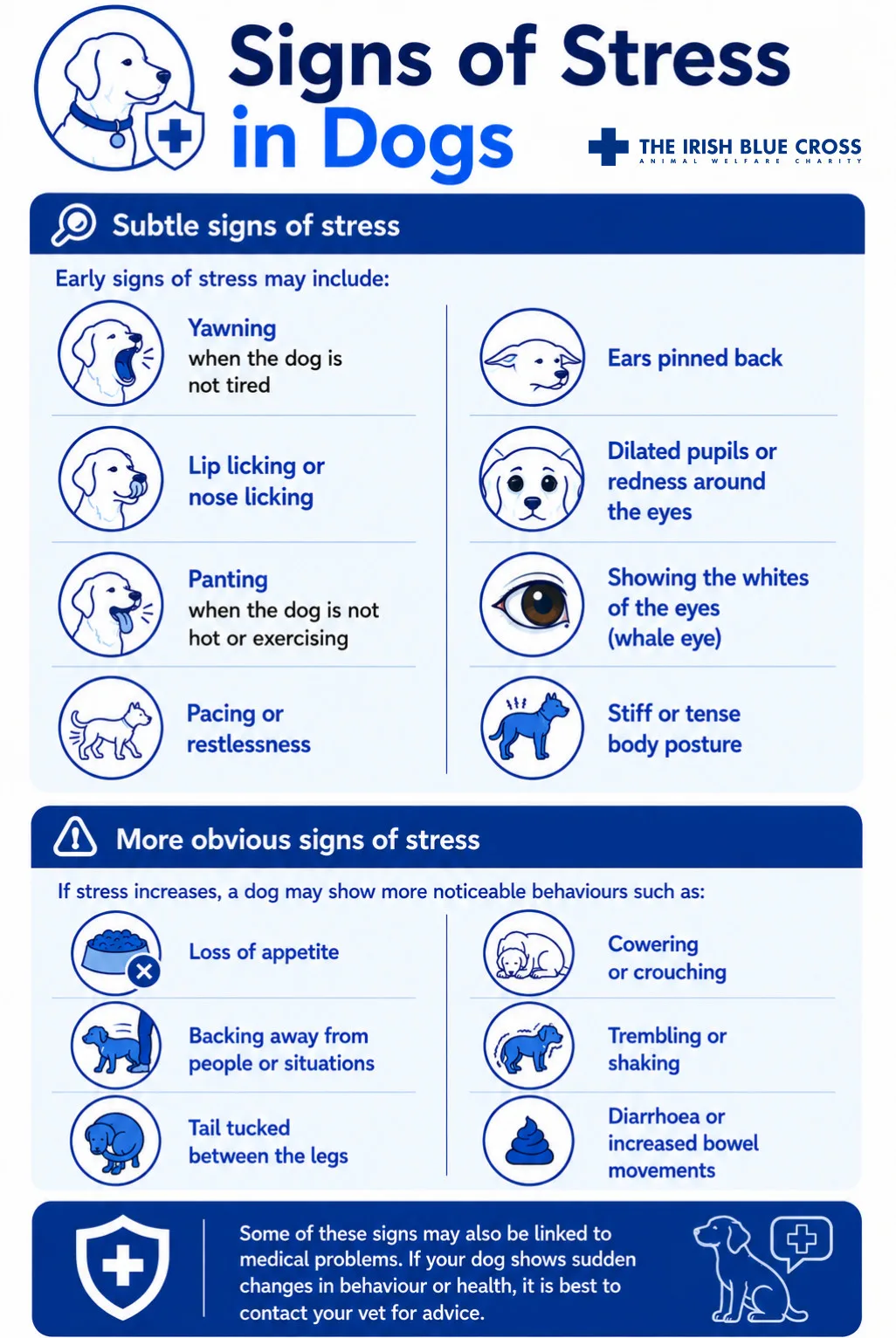 Subtle signs of stress Early signs of stress may include: Yawning when the dog is not tired Lip licking or nose licking Panting when the dog is not hot or exercising Pacing or restlessness Ears pinned back Dilated pupils or redness around the eyes Showing the whites of the eyes (whale eye) Stiff or tense body posture More obvious signs of stress If stress increases, a dog may show more noticeable behaviours such as: Loss of appetite Backing away from people or situations Tail tucked between the legs Cowering or crouching Trembling or shaking Diarrhoea or increased bowel movements Some of these signs may also be linked to medical problems. If your dog shows sudden changes in behaviour or health, it is best to contact your vet for advice.