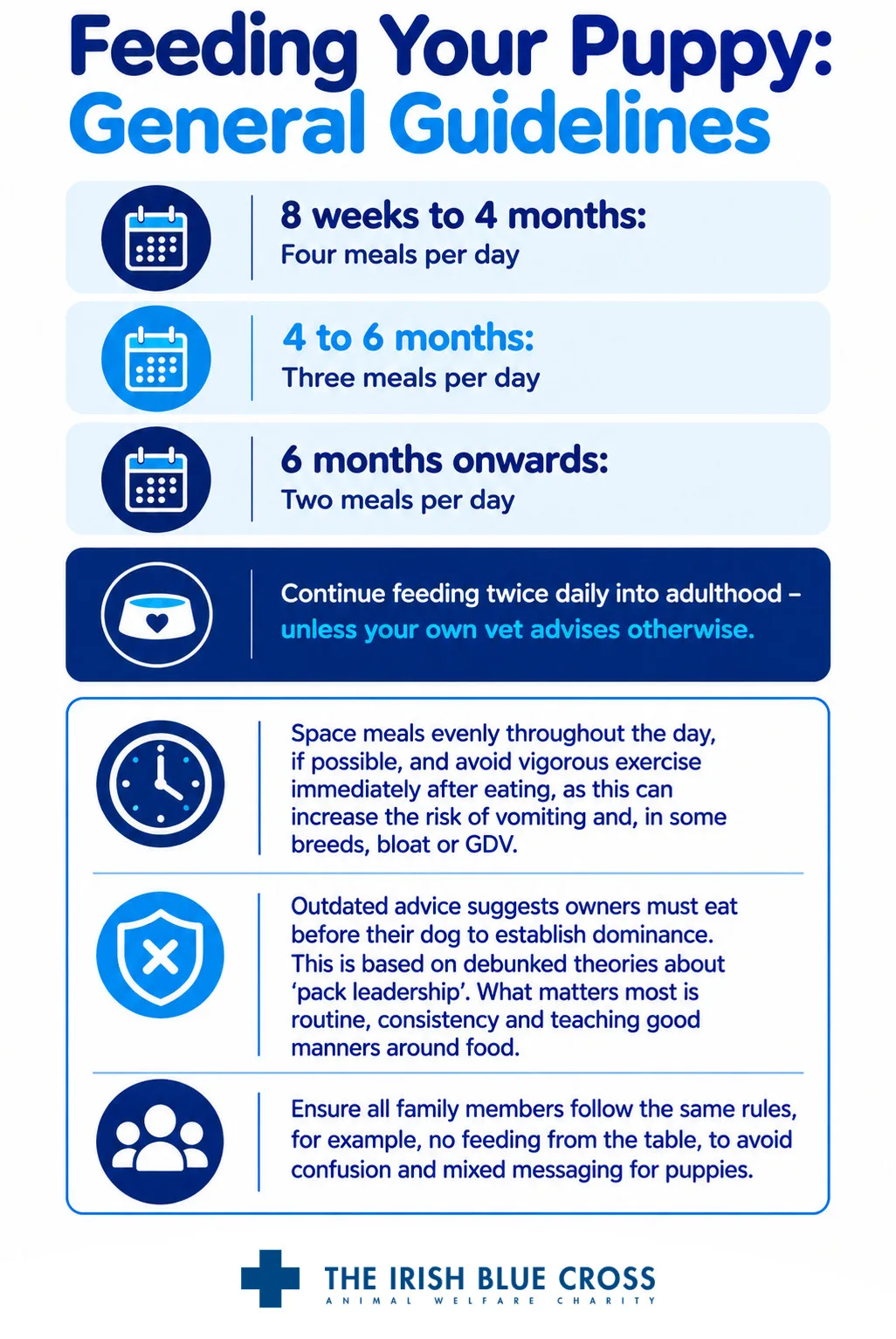 General guidelines: 8 weeks to 4 months: Four meals per day 4 to 6 months: Three meals per day 6 months onwards: Two meals per day Continue feeding twice daily into adulthood – unless your own vet advises otherwise. Space meals evenly throughout the day, if possible, and avoid vigorous exercise immediately after eating, as this can increase the risk of vomiting and, in some breeds, bloat or GDV. Outdated advice suggests owners must eat before their dog to establish dominance. This is based on debunked theories about ‘pack leadership.’ What matters most is routine, consistency and teaching good manners around food. Ensure all family members follow the same rules, for example, no feeding from the table, to avoid confusion and mixed messaging for puppies.