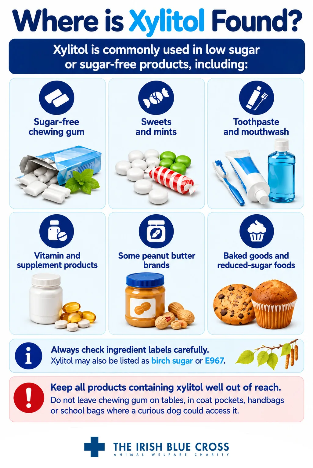 Where is Xylitol Found? Xylitol is commonly used in low sugar or sugar-free products, including: Sugar-free chewing gum Sweets and mints Toothpaste and mouthwash Vitamin and supplement products Some peanut butter brands Baked goods and reduced-sugar foods Always check ingredient labels carefully. Xylitol may also be listed as birch sugar or E967. Keep all products containing xylitol well out of reach. Do not leave chewing gum on tables, in coat pockets, handbags or school bags where a curious dog could access it.